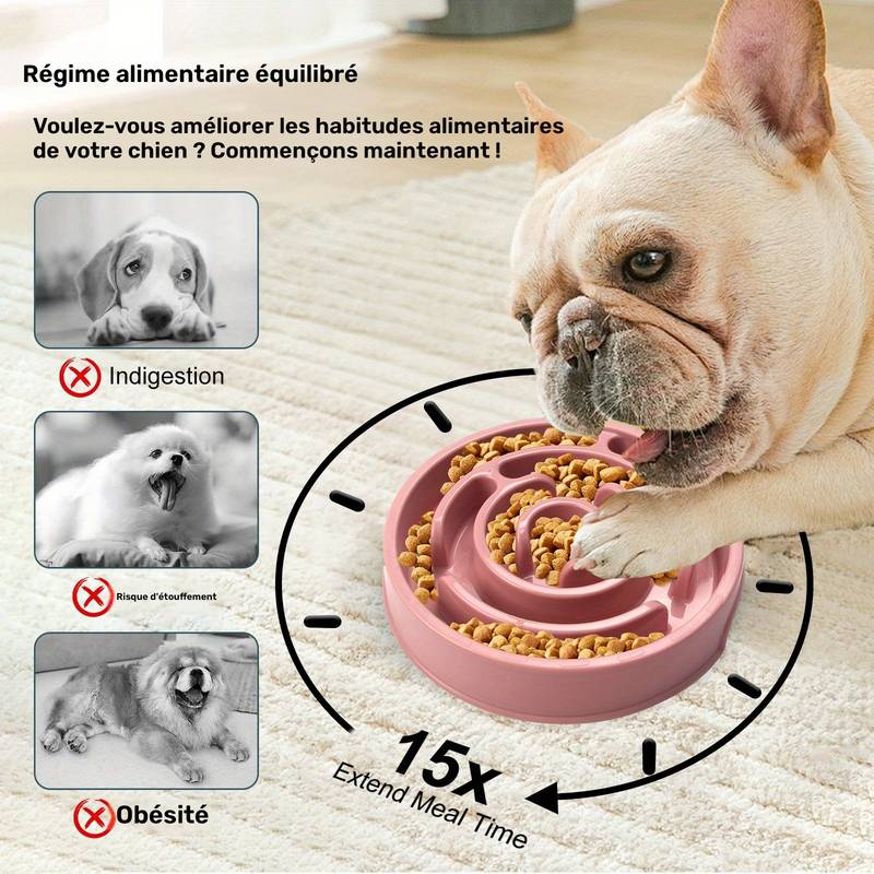 Gamelle Anti-glouton pour chien - Ralentisseur de repas