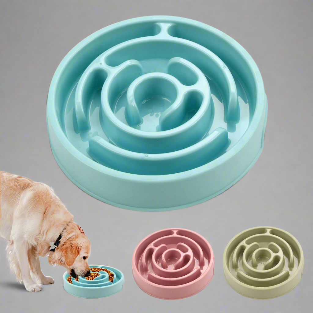 Gamelle Anti-glouton pour chien - Ralentisseur de repas