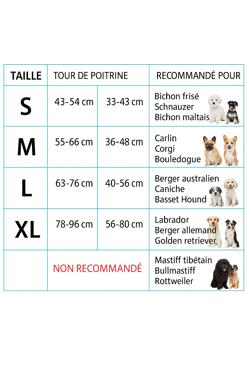 Harnais Réfléchissant + Laisse Réfléchissante