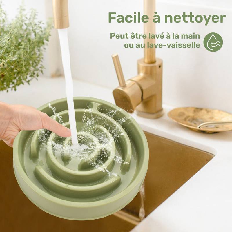 Gamelle Anti-glouton pour chien - Ralentisseur de repas