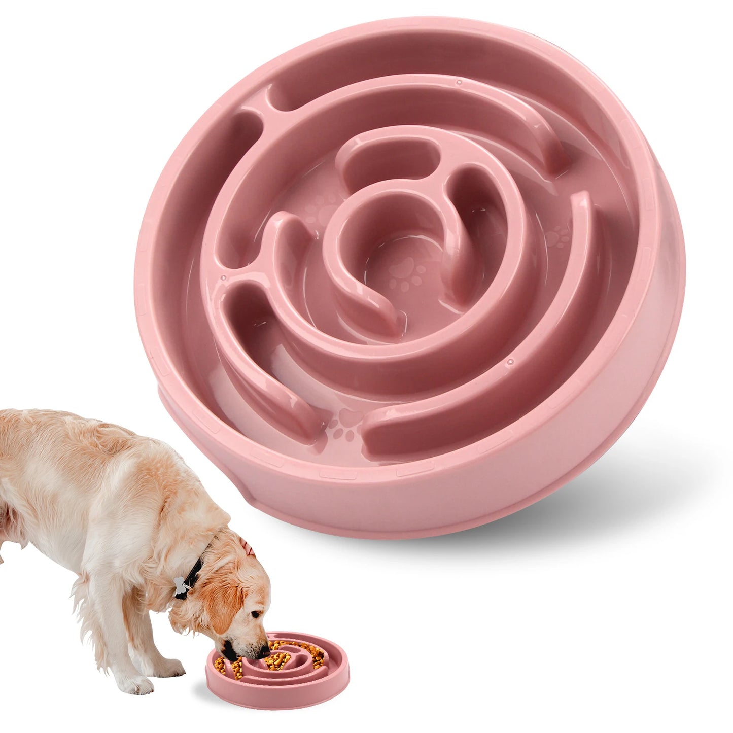 Gamelle Anti-glouton pour chien - Ralentisseur de repas