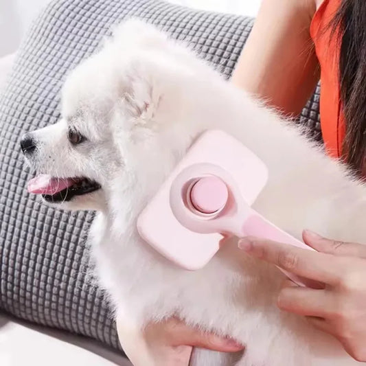 Brosse Auto-nettoyante pour Chien